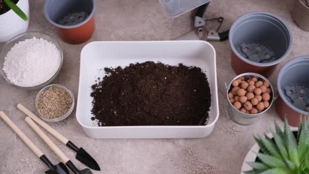 家庭园艺和植物移植 为准备底物而浇灌带有花园勺的土壤盒的妇女 — 图库视频影像
