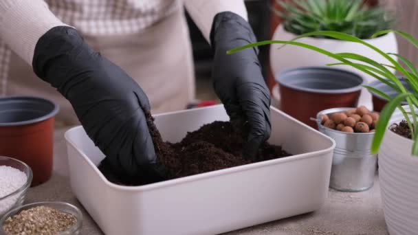 Inicio Jardinería Trasplante Plantas Mujer Mezclando Sustrato Suelo Con Manos — Vídeos de Stock