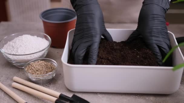 家庭园艺和植物移植 人工搅拌土壤基质的妇女 — 图库视频影像