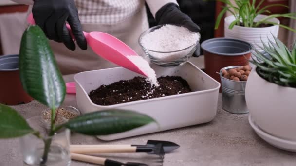 家庭园艺和植物移植 妇女将珍珠岩倒入装有土壤衬底盒的盒子 — 图库视频影像