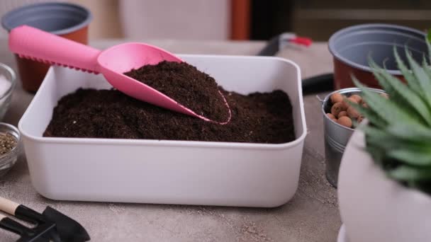 家庭园艺和植物移植箱 带有土壤基质和园艺勺 — 图库视频影像