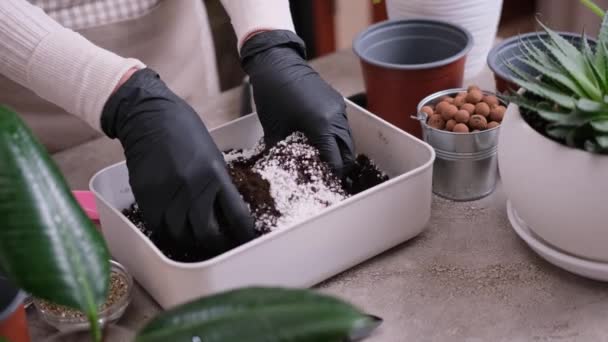 Evde Bahçıvanlık Bitki Nakli Kadın Toprak Tabakasını Ellerle Karıştırıyor — Stok video