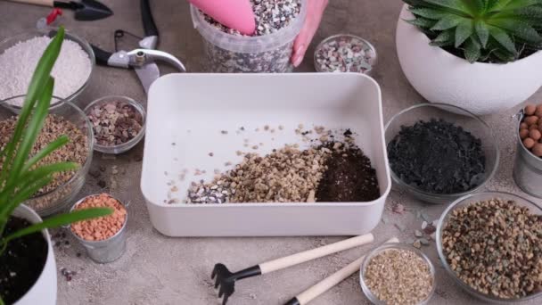 家庭园艺和植物移植 人工搅拌土壤基质的妇女 — 图库视频影像