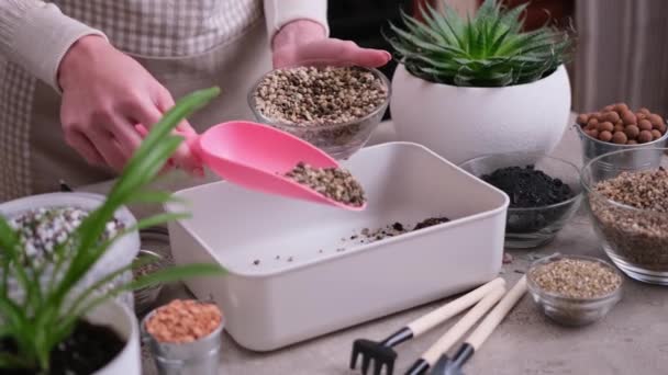 ホームガーデンと植物移植 土壌基質を手で混合する女性 — ストック動画