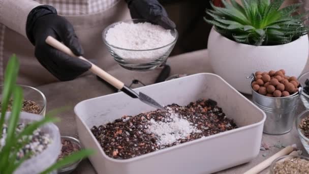 Home Gardening Plant Transplantation Woman Pouring Perlite Box Soil Substrate — Stock Video