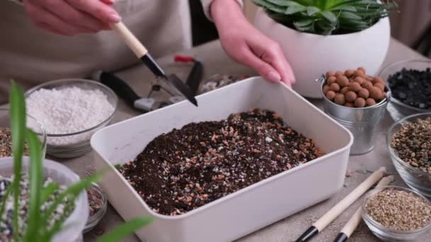 Início Jardinagem Transplante Plantas Mulher Misturando Substrato Solo — Vídeo de Stock
