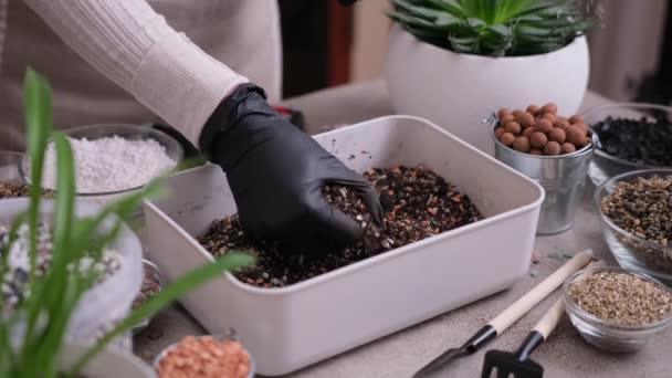 Accueil Jardinage Transplantation Plantes Femme Mélangeant Substrat Sol Avec Les — Video