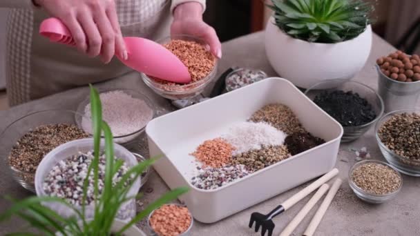 Home Gardening Plant Transplantation Woman Mixing Soil Substrate Hands — Stock Video