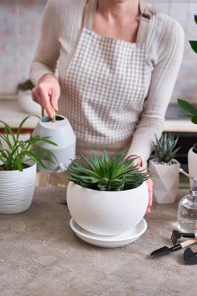 Woman Watering Potted House Plants Watering Can — Stock Photo, Image