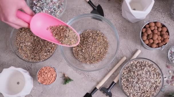 家庭园艺和植物移植 制备肉质土壤基质的妇女 — 图库视频影像
