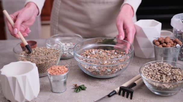 家庭园艺和植物移植 制备肉质土壤基质的妇女 — 图库视频影像
