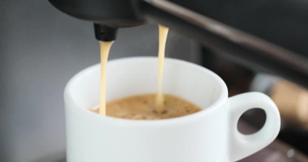 ホームエスプレッソ製造プロセス マシンからセラミックカップに注ぐコーヒーストリーム — ストック動画