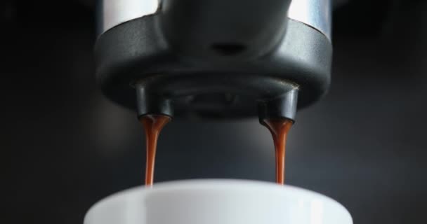 Making Espresso Flowing Fresh Ground Coffee Stream Professional Machine Close — Stok Video