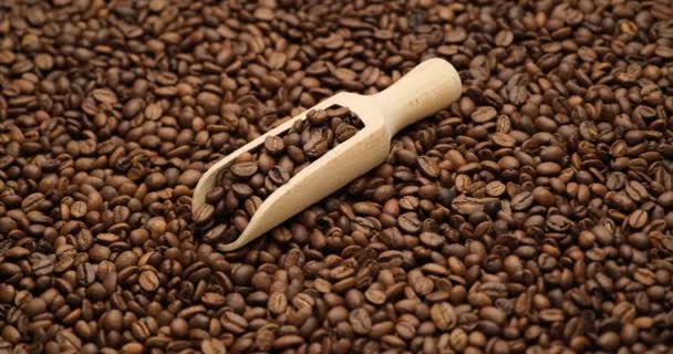 Wooden Scoop Full Roasted Coffee Beans Spinning Background Top View — Stock Video