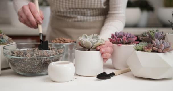 妇女将泥土放入陶罐中用于银屑病根部切开术 — 图库视频影像