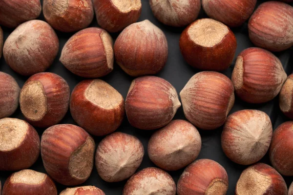 Whole Hazelnuts Nuts Shell Close Studio Shot — Stock Photo, Image