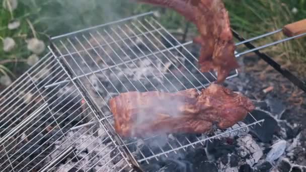 Cuisson Côtes Marinées Porc Barbecue Sur Une Grille Gril Sur — Video