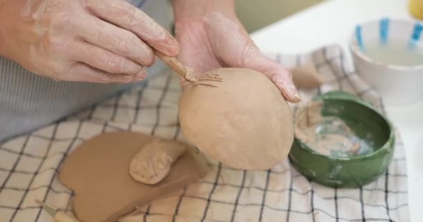 Kadın Elleriyle Kil Çömlek Yapıyor Sanat Stüdyosuna Yakın Çekim Yapıyor — Stok video