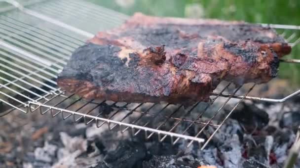Bakken Barbecue Varkensvlees Gepekelde Ribben Een Rooster Kampvuur Houtskool — Stockvideo