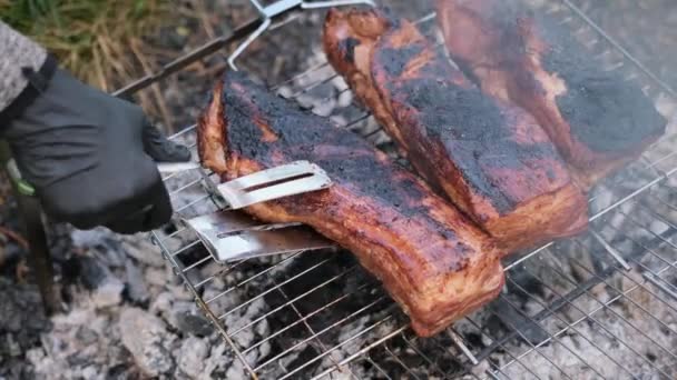 Cooking Barbecue Pork Pickled Ribs Grill Grate Bonfire Charcoal — Stock Video