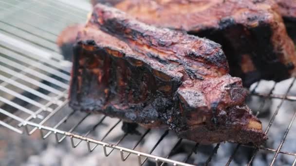 用篝火炭在烤架上烤猪肉腌制排骨 — 图库视频影像