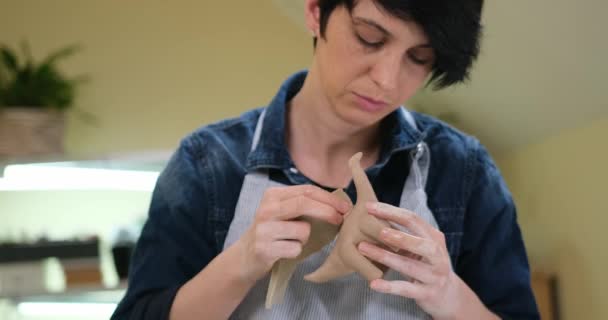 女性は手作業で粘土から恐竜の人形を彫刻し — ストック動画