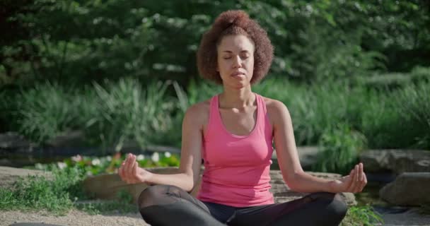 若いアフリカ系アメリカ人女性は 目を閉じて 屋外でヨガをする瞑想で多くのポジションに座ります — ストック動画