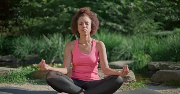 若いアフリカ系アメリカ人女性は 目を閉じて 屋外でヨガをする瞑想で多くのポジションに座ります — ストック動画