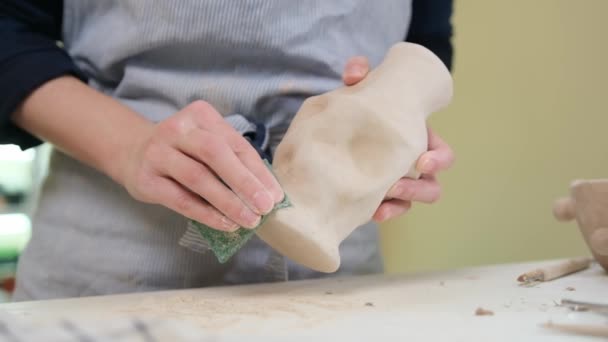 Woman Sculpts Vase Clay Hands Closeup Artistic Studio — Stock Video