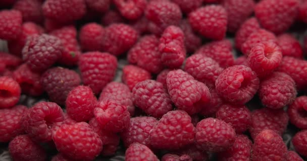 Fruta Frambuesa Jugosa Fresca Orgánica Sana Berrie Macro Fondo — Vídeos de Stock