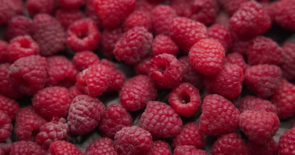 Υγιεινά Βιολογικά Φρέσκα Ζουμερά Φρούτα Βατόμουρο Berrie Macro Φόντο — Αρχείο Βίντεο