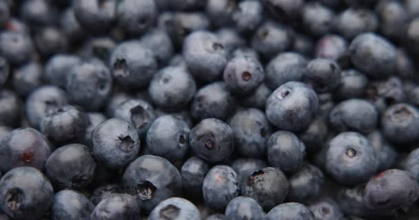 Proaspete Organice Sănătoase Fructe Suculente Berrie Macro Fundal — Videoclip de stoc