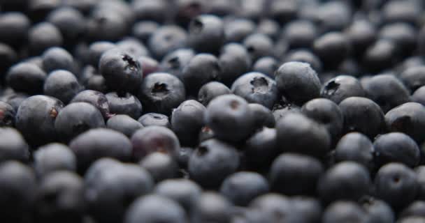 Gesunde Bio Frische Saftige Blaubeeren Früchte Berrie Makro Hintergrund — Stockvideo