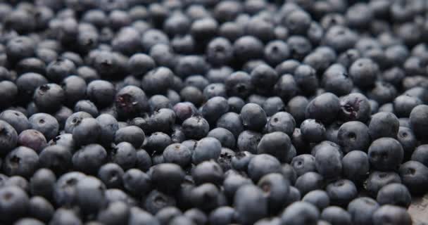 健康的有机新鲜多汁蓝莓果仁巨无霸背景 — 图库视频影像