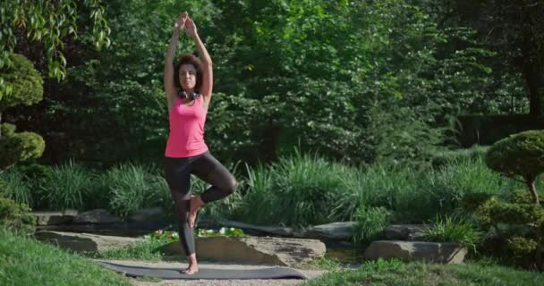 若いアフリカ系アメリカ人女性は 晴れた日の屋外でヨガをしている — ストック動画