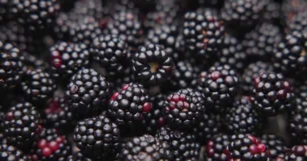 Gezonde Biologische Verse Sappige Bramen Fruit Berrie Macro Achtergrond — Stockvideo