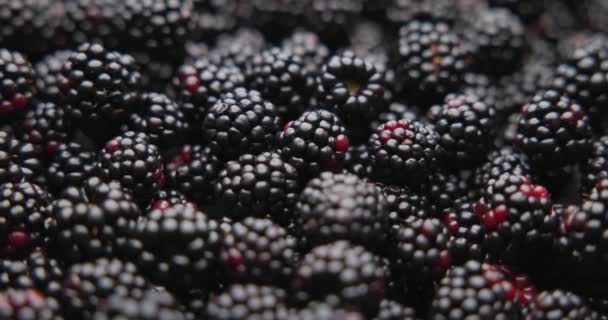 健康的有机新鲜多汁黑莓果仁巨无霸背景 — 图库视频影像