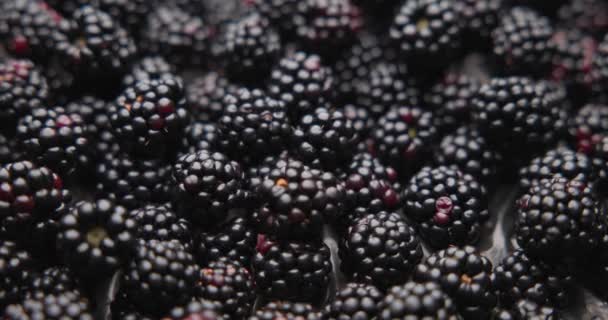 Healthy Organic Juicy Blackberry Fruit Berrie Macro Fondo — Vídeos de Stock