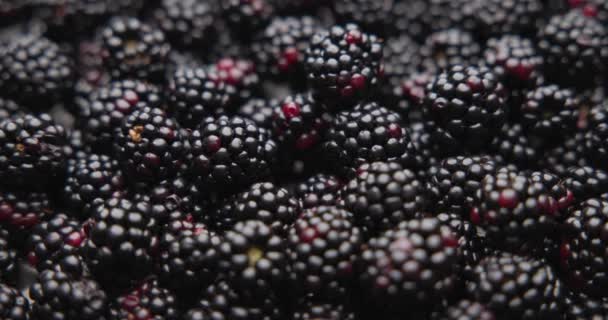 Healthy Organic Fresh Juicy Blackberry Fruit Berrie Macro Background — Stock Video