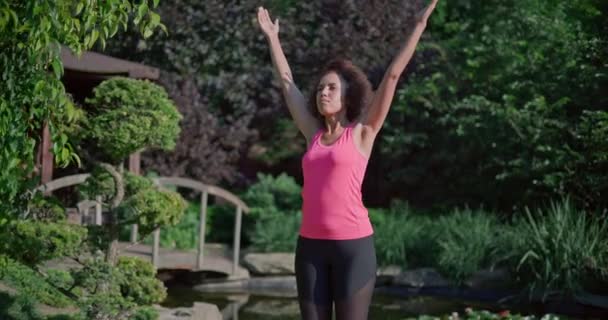 Jong Afrikaanse Amerikaanse Vrouw Doet Yoga Zonnige Dag Buiten — Stockvideo