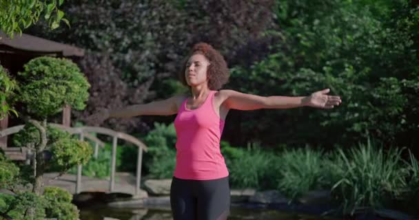 Jong Afrikaanse Amerikaanse Vrouw Doet Yoga Zonnige Dag Buiten — Stockvideo