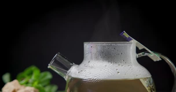 蒸汽从水壶里喷出 用茶袋泡茶 — 图库视频影像