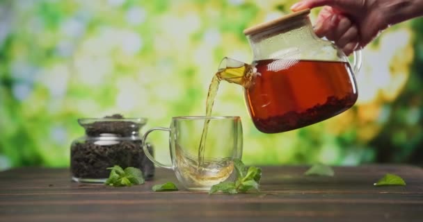 Chá Natural Orgânico Derrama Uma Xícara Vidro Caneca Bule Vidro — Vídeo de Stock