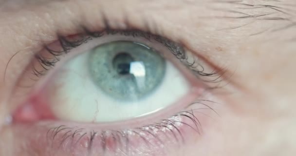 Erkek Gözünün Makro Sığ Alan Görüntüsünü Kapatın Dci — Stok video