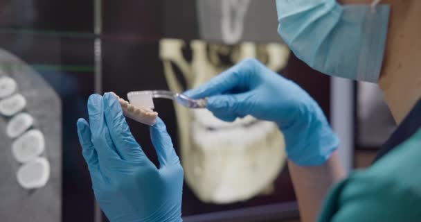 Zubař Modrými Latexovými Rukavicemi Ukazuje Jak Správně Vyčistit Zuby Demonstrující — Stock video