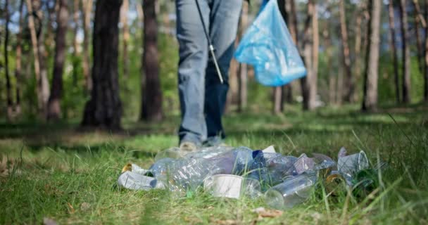 一个拿着塑料袋的人在森林里用棍子加热垃圾 收集垃圾 Dci — 图库视频影像