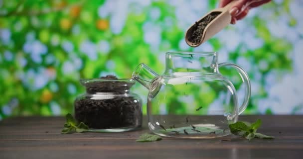 干茶的叶子从木茶勺倒入木桌上的玻璃杯茶壶 — 图库视频影像