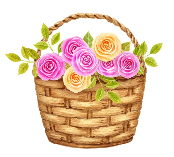 Flores Rosas Cesta Isolada Fundo Branco Aniversário Design Cartão Agradecimento — Fotografia de Stock