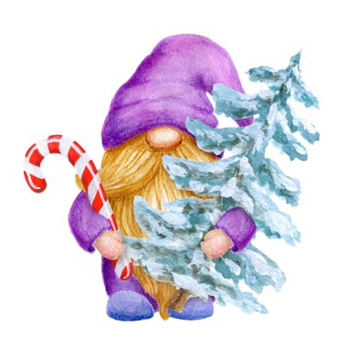 Karlı Noel Ağacı ile suluboya şirin cüce. Çizgili bastonlu komik şapkalı küçük cüce. Yeni yıl tebrik kartı ya da davetiyesi için tatil akvaryumu cücesi adam.