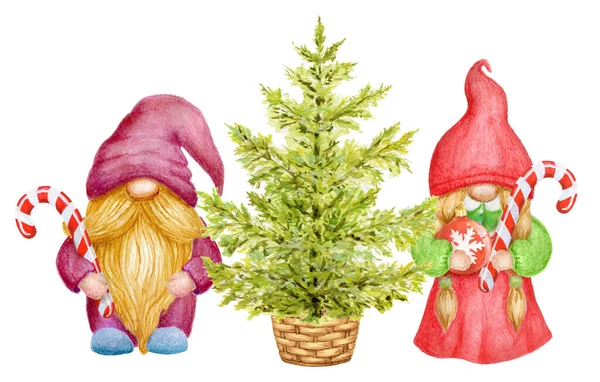 Watercolor Cute Gnomes Christmas Tree Little Gnomes Funny Hat Striped — Stock Photo, Image